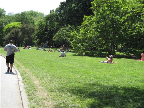 Central Park