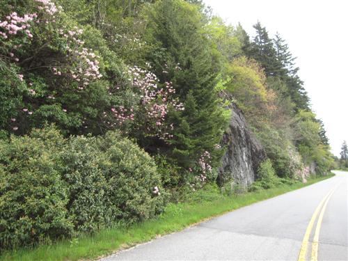 Blue Ridge Parkway