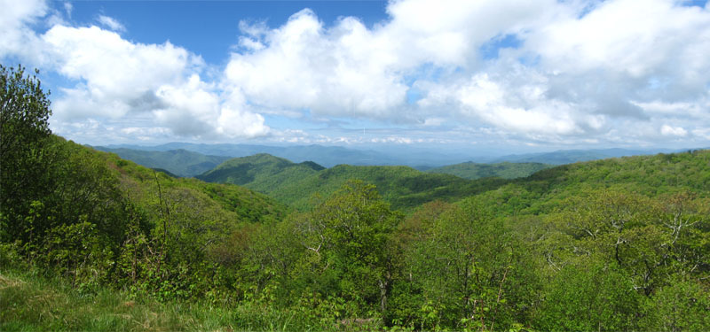 Udsigt fra Blue Ridge Parkway